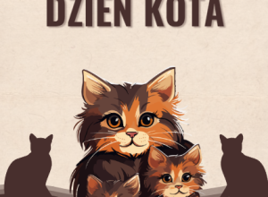 Dzień Kota- Spotkanie z Kocią Mamą