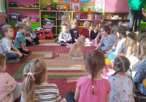 Na zdjęciu dzieci obserwują kota oraz słuchają pani z Fundacji Kocia Mama opowiadającej ciekawostki o kotach.
