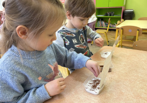 Na zdjęciu dzieci sieją rzeżuchę we wcześniej przygotowanych pojemniczkach.