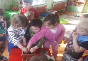 Na zdjęciu dzieci z grupy "Misie" wysiewające nasiona owsa do doniczek