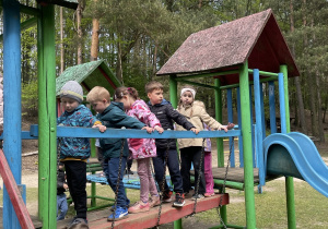 dzieci podczas zabawy na placu zabaw