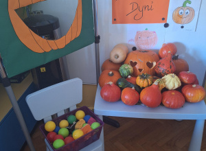 Dzień Dyni
