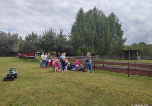 Grupa przedszkolna podczas oglądania kucyków w zagrodzie.