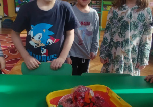 Dzieci podczas obserwacji eksperymentu