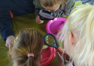 Dzieci obserwują warzywa i owoce przez lupy