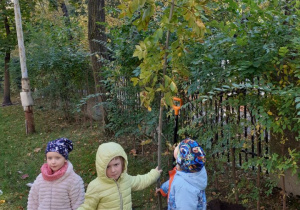 Zdjęcie przedstawia troje dzieci trzymających wsadzane do ziemi drzewko.