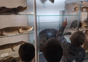 Dzieci oglądają eksponaty w muzeum