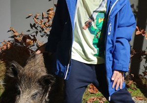 Na zdjęciu chłopiec w niebieskiej kurtce pozuje z figurą dzika.