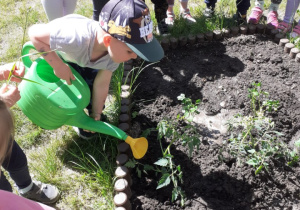 Na zdjęciu chłopiec podlewa konewką posadzoną roślinę.