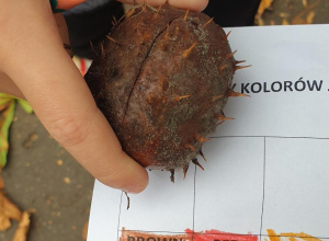 Szukamy jesiennych kolorów