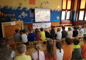 dzieci oglądają na tablicy multimedialnej film o tematyce przyrodniczej