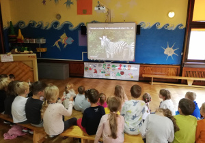 dzieci oglądają na tablicy multimedialnej film o tematyce przyrodniczej