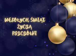 SPOTKANIE WIGILIJNE U PSZCZÓŁEK