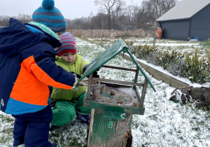 Na zdjęciu chłopcy umieszczają pokarm dla ptaków w karmniku.