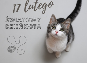 Dzień kota