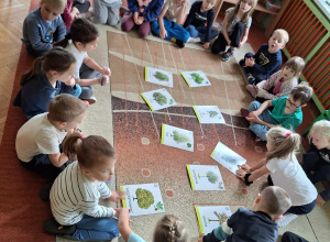 Dzień Drzewa
