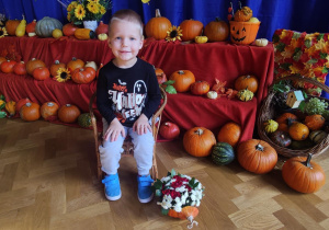 Chłopiec siedzący na krześle na tle dyń