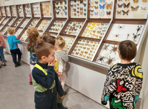 Muzeum przyrodnicze