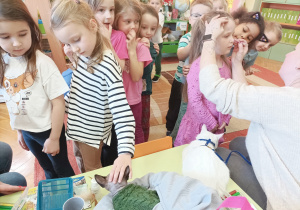 Na zdjęciu dziewczynka głaszcze kotka.