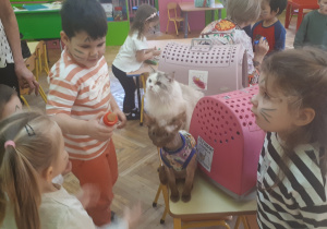 na zdjęciu dzieci z grupy ,,Misie” bawiące się z kotami siedzącymi na stoliku, na drugim planie dzieci podczas malowania twarzy w "kocie wzorki”