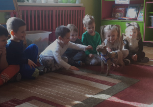 na zdjęciu dzieci z grupy ,,Misie” obserwujące zachowanie kota chodzącego po dywanie w klasie