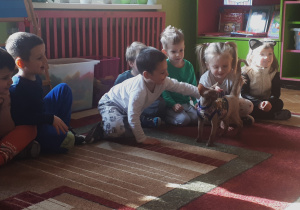 Na zdjęciu dzieci z grupy "Misie” podczas zabawy z kotem.