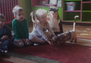 Na zdjęciu dzieci z grupy "Misie” podczas zabawy z kotem.