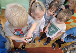 Na zdjęciu dzieci obserwują i dotykaj nasiona owsa.