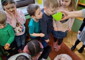 Na zdjęciu dzieci poznają zapach zasianej rzeżuchy.