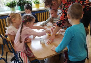 na zdjęciach dzieci układają nasionka rzeżuchy w pojemniczkach z mokrą watą