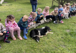 dzieci wraz z pieskiem siedzące na ściętym drzewie