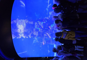 Na zdjęciu dzieci oglądają ryby pływające w ogromnym akwarium