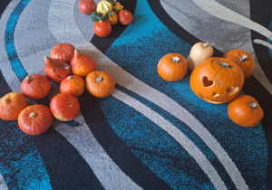 Na zdjęciu znajdują się dynie podzielone według wielkości.