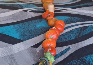 Na zdjęciu znajdują się dynie posegregowane od najmniejszej do największej.