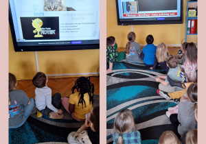 Na zdjęciu dzieci oglądają prezentację multimedialną o kotach.