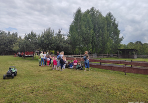 Grupa przedszkolna podczas oglądania kucyków w zagrodzie.