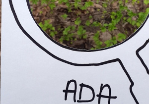 Zdjęcie przedstawia oznakę wiosny znalezioną przez Adę - młode listki na krzaczku.