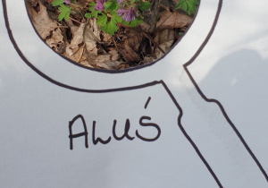 Zdjęcie przedstawia oznakę wiosny znalezioną przez Alka - pierwsze wiosenne kwiatki.