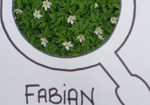 Zdjęcie przedstawia oznakę wiosny znalezioną przez Fabiana - wiosenne kwiatki.