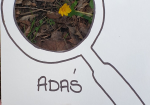 Zdjęcie przedstawia oznakę wiosny znalezioną przez Adasia - wiosenny kwiatek.