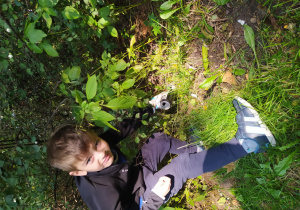 Chłopiec sprzątając tereny zielone parku