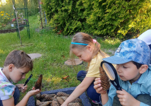 Trójka dzieci przebywających na powietrzu w Zakątku przyrody dokonuje obserwacji darów przyrody min: szyszek, kamieni z wykorzystaniem szkła powiększającego wykazując przy tym ogromne zainteresowanie.