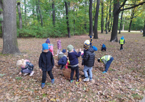 przedszkolaki podczas zbierania żołędzi w parku