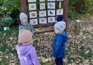 Na zdjęciu dzieci stoją przed drewnianą gablotą z ruchomymi elementami obrazkowymi i dopasowują zwierzęta do ich domów.