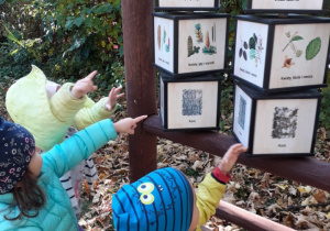 Na zdjęciu dzieci stoją przed drewnianą gablotą z ruchomymi elementami obrazkowymi i wskazują drzewa iglaste oraz liściaste