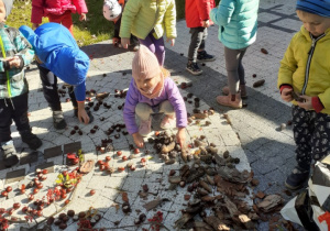Na zdjęciu dzieci układające schemat budowy drzewa z kasztanów, liści, kawałków kory