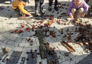 Na zdjęciu dzieci układające schemat budowy drzewa z kasztanów, liści, kawałków kory w ogródku przedszkolnym