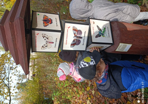 Na zdjęciu dzieci oglądają w zakątku przyrodniczym tablice owadów.