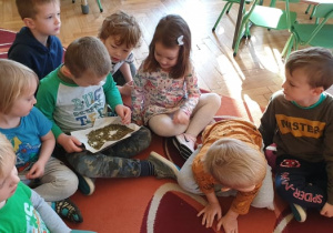 Na zdjęciu dzieci próbujące pestek dyni.