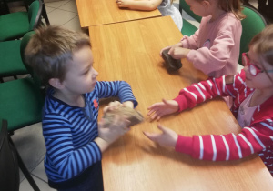 Dzieci oglądają i badają rękami fakturę, ciężar i zapach różnych minerałów